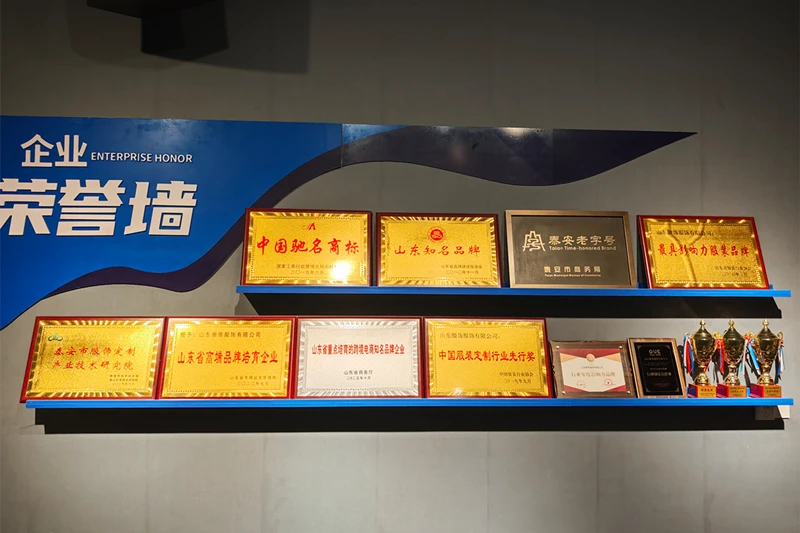Weierna Security Technology Company Honor Display Weierna Security Technology Company Honor Display