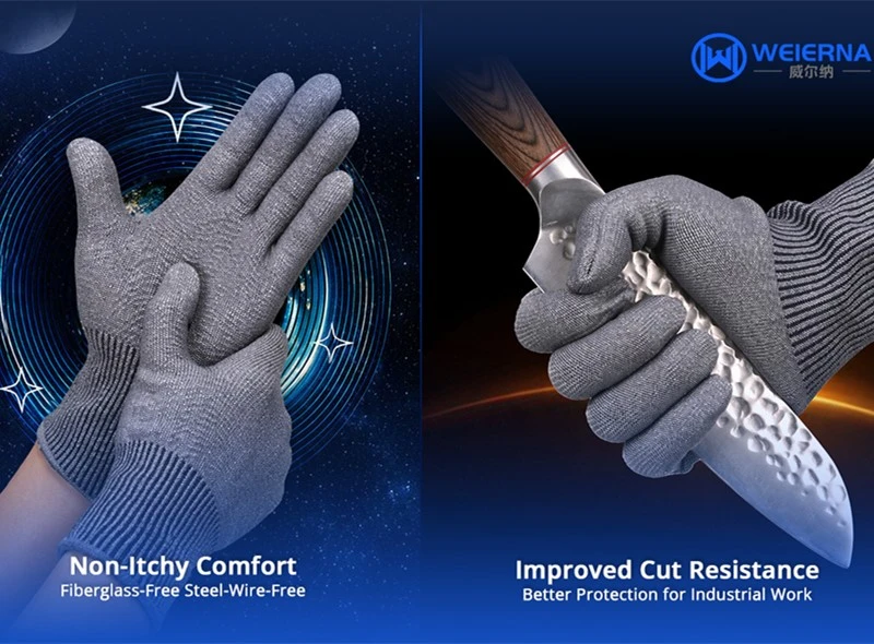 food-processing-cut-resistant-gloves-china-Exporter1-1 food-processing-cut-resistant-gloves-china-Exporter1-1